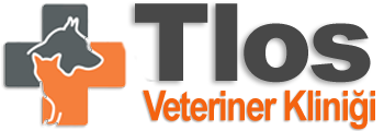 biVet